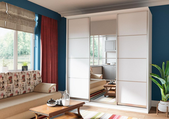 Фотография нашего продукта 'Шкаф-купе Л-029'